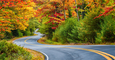 FIVE AWESOME FALL ROAD TRIPS