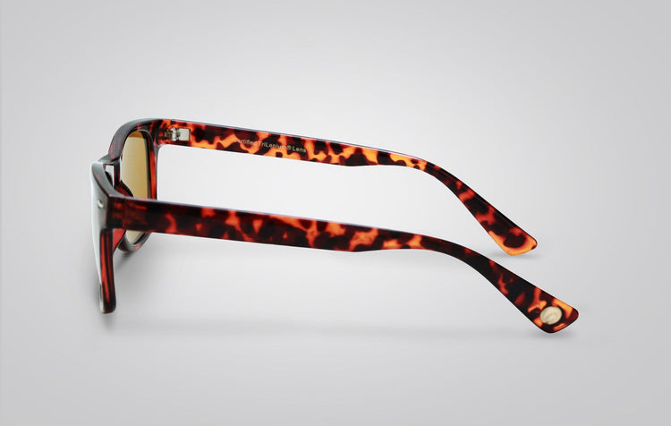 Morgan-Shiny-Tort-Temples- Morgan-Shiny-Tort-Temples-